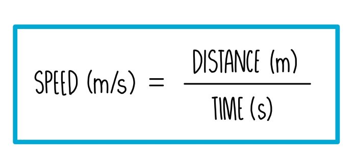 Calculating speed and velocity worksheet