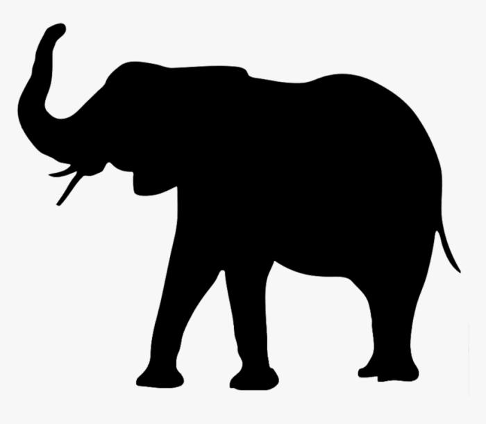 What is as big as an elephant and weighs nothing