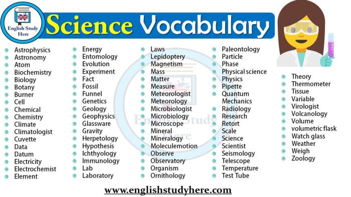 Es-tu en forme chapitre 8 vocabulaire 1 answer key